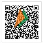 WhatsApp Image 2026-10-08 at 17.55.04 (1)